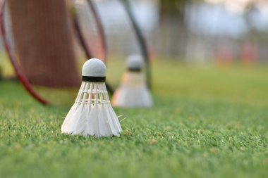 Badminton spor malzemeleri, raketler ve beyaz krem mekikleri, yeşil çimlerin üzerinde, bulanık günbatımı arka planı, açık hava sporları için konsept, yumuşak odaklanma.
