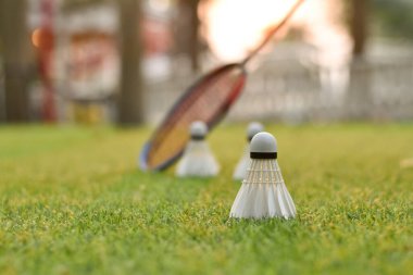 Badminton spor malzemeleri, raketler ve beyaz krem mekikleri, yeşil çimlerin üzerinde, bulanık günbatımı arka planı, açık hava sporları için konsept, yumuşak odaklanma.