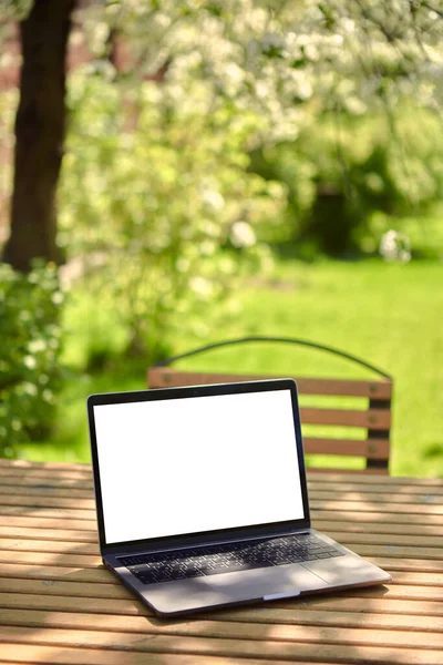 Un ordenador portátil con una pantalla vacía se encuentra en una mesa de madera en el patio de un hermoso jardín, en tiempo soleado . —  Fotos de Stock