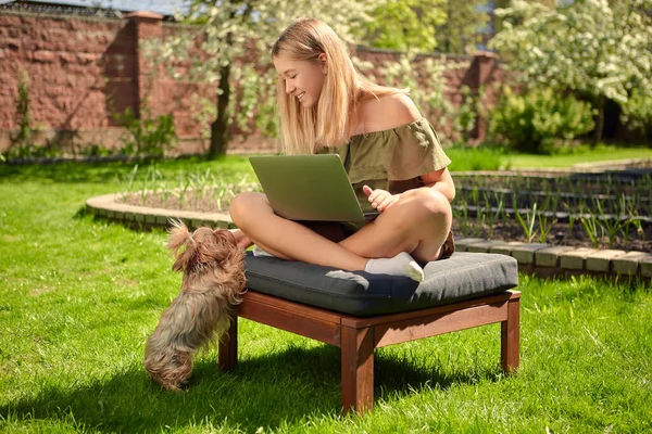 Kreatív fiatal lány blogger dolgozik egy laptop tartalmat ül a hátsó udvaron egy ház a kertben a gyep. — Stock Fotó