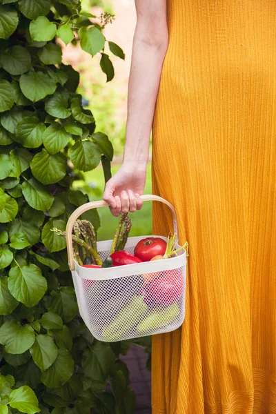 Keranjang dengan sayuran organik yang baru tumbuh pada wanita tangan di latar belakang kebun hijau — Stok Foto