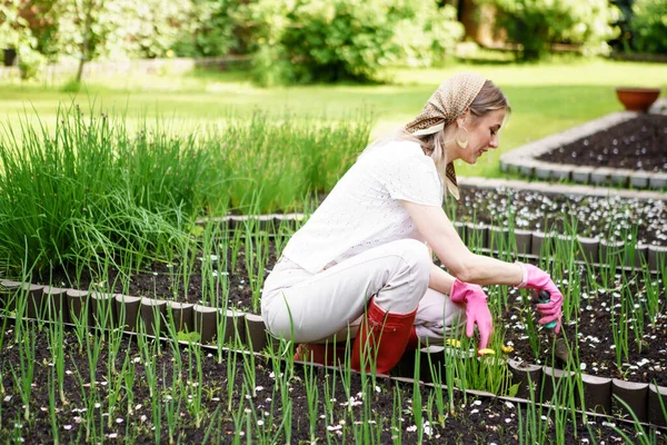 Seorang gadis muda cantik dengan selendang dan sarung tangan karet menanam bawang di kebun belakang rumahnya pada hari musim panas yang cerah. — Stok Foto