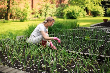 Şallı ve lastik eldivenli genç bir kız güneşli bir yaz gününde bahçesine soğan ekiyor..