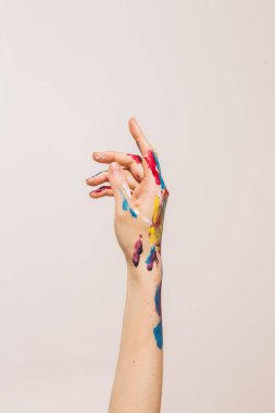 Kadın ressamlar, beyaz arka planda izole edilmiş boyaları teslim ederler. Sanat blogu ya da kadın blogu için renkli fotoğraf