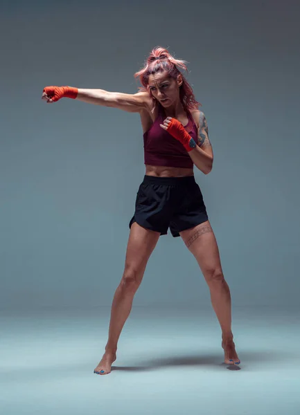 Stüdyoda gri arka planda izole edilmiş havalı kız boksörü. Karışık dövüş sanatları posteri — Stok fotoğraf
