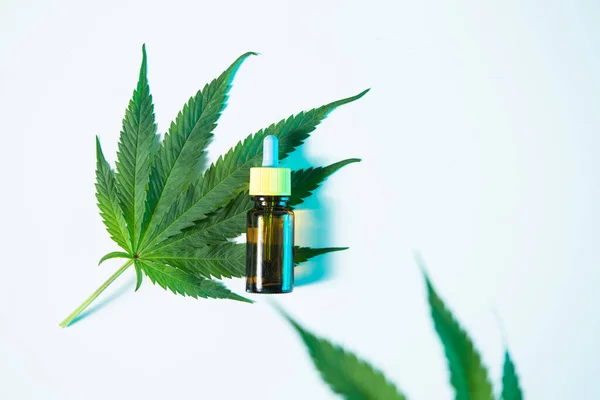 Glass bottle of CBD oil natural extract with hemp leaves in neon light. Flat lay, minimalism. — Stock Photo, Image
