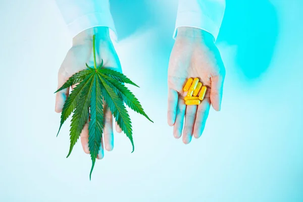 Feuille de cannabis et capsules dans les mains humaines en lumière bleu néon studio. vue de dessus. Compléments alimentaires naturels — Photo