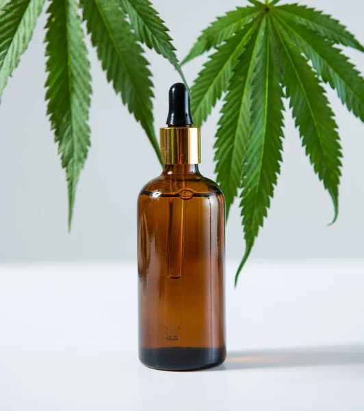 Naturligt kosmetiskt serum, hudvård tom flaska med hampa blad. Bio ekologisk cbd produkt. — Stockfoto