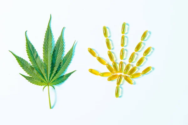 Feuille de chanvre avec des pilules d'huile de CBD sous forme de cannabis, vue du dessus, compléments alimentaires biologiques — Photo