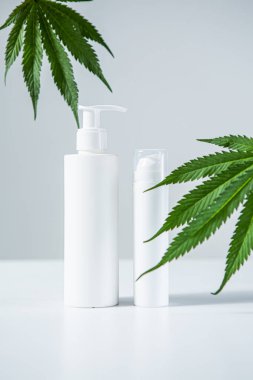 Beyaz boş kozmetik şişeleri ve gri stüdyo arka planında kenevir yaprakları.