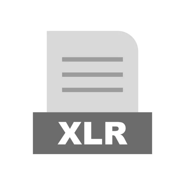 Xlr Datei Isoliert Auf Abstraktem Hintergrund — Stockfoto