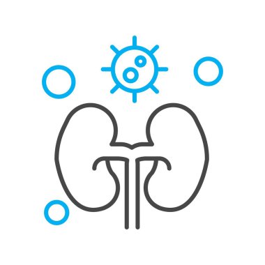 vektör böbrek simgesi illüstrasyonu