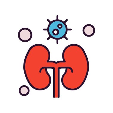 vektör böbrek simgesi illüstrasyonu