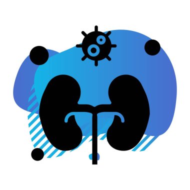 vektör böbrek simgesi illüstrasyonu