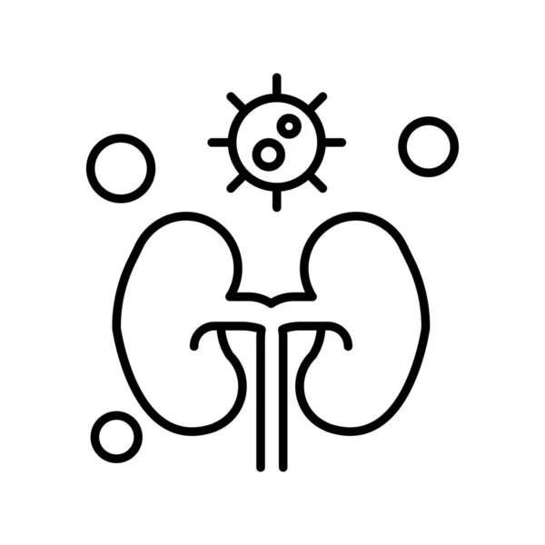 Vector Kidneys Icon Illustration — Stock Vector