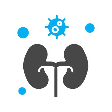 vektör böbrek simgesi illüstrasyonu