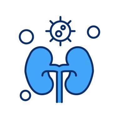 vektör böbrek simgesi illüstrasyonu