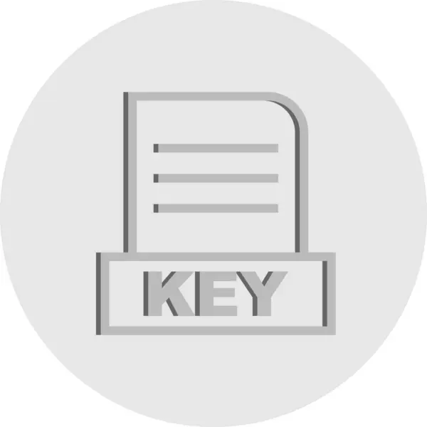 Vector Key Bestand Pictogram — Stockvector