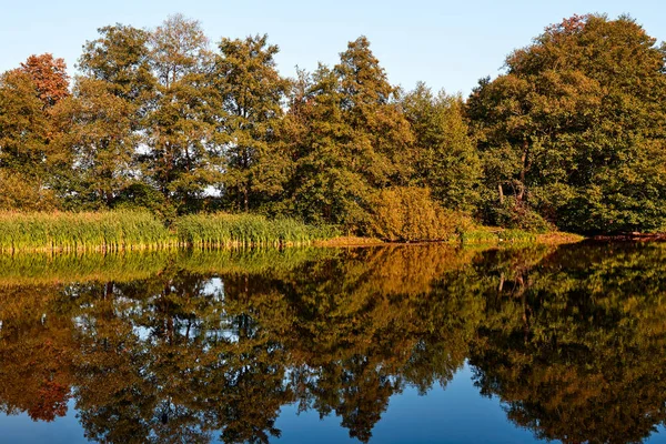 Sonbahar manzarası. Ağaçların turuncu rengi.