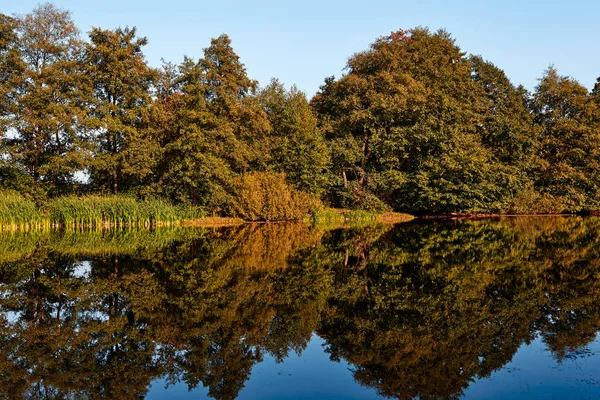 Sonbahar manzarası. Ağaçların turuncu rengi.