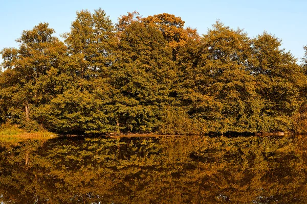 Sonbahar manzarası. Ağaçların turuncu rengi.