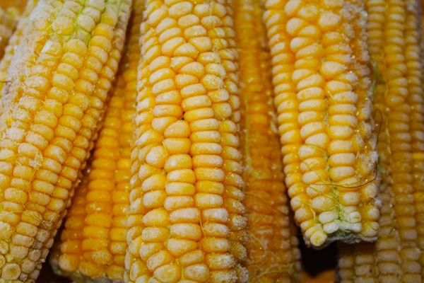 Ripe Frozer Corn Swing — Stock Photo, Image