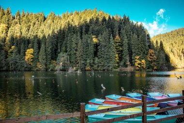Romanya 'nın Karpat Dağlarında Kızıl Göl