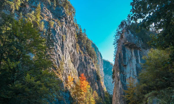 Romanya 'da Bicaz çayı