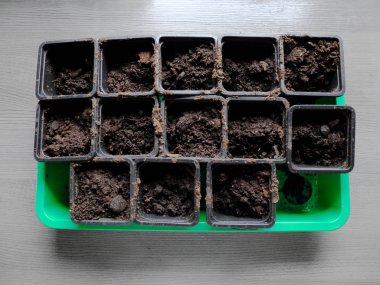 Özel yeşil bir kapta filizlenmek için bir sürü siyah kutu var. Üst alt görünüm.