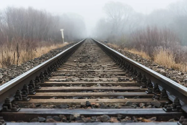 Bir sis, açık peyzaj gidiş boş tren yolu