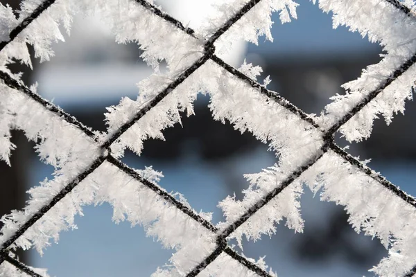 Rusty wire mesh fence covered with frost and hoarfrost with blurred background in the winter