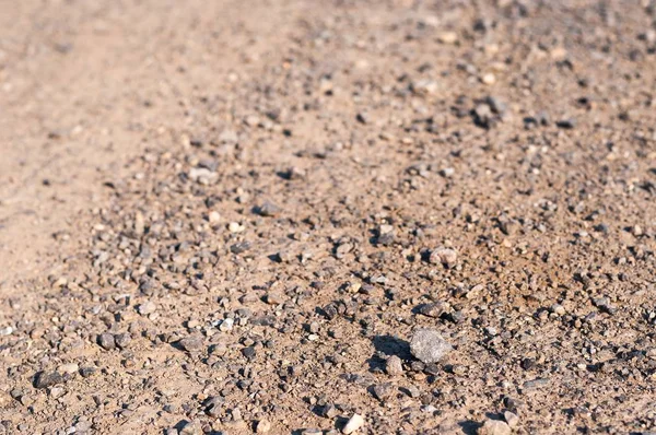 Route en terrain avec de petits rochers au sol — Photo