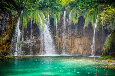 Hırvatistan 'ın Plitvice gölleri Ulusal Parkı' ndaki ormanda kristal berrak suyla inanılmaz şelaleler. Doğa manzarası