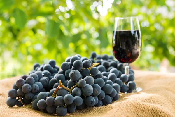 Copa Vino Tinto Racimo Uvas Aire Libre Contra Fondo Natural —  Fotos de Stock