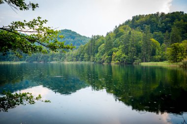 Hırvatistan 'ın Plitvice gölleri Ulusal Parkı' ndaki ormanda kristal berrak suyla inanılmaz şelaleler. Doğa manzarası
