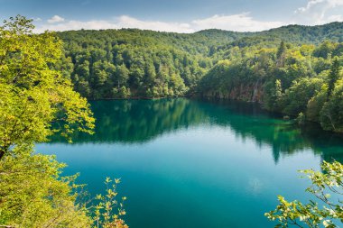 Hırvatistan 'ın Plitvice gölleri Ulusal Parkı' ndaki ormanda kristal berrak suyla inanılmaz şelaleler. Doğa manzarası