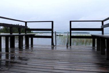 Finlandiya, Saimaa Gölü 'nde yağmurlu bir güvertede 16 yaşındaki bir çocuk bulutlu bir yaz sabahı çimenli sularda kürek çekiyor.. 