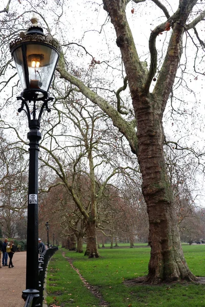 イングランドのウェストミンスターにあるセント ジェームズ公園の柵の横にある一列と一列の木 ロンドンの8つのロイヤルパークの1つで ウェストミンスター宮殿とバッキンガム宮殿の間に位置しています — ストック写真