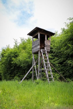 Alman av yüzüğü Palatinate Ormanı 'nda yürüyen bir yolun yanında duruyor..