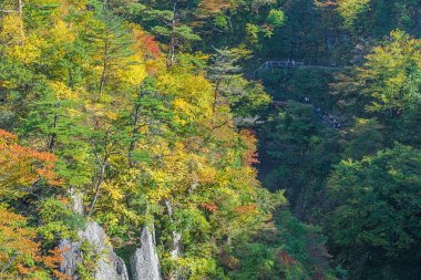 Değil Gorge Tohoku bölgedeki en doğal gorges biridir. Kuzey-Batı Miyagi İli, Sendai yaklaşık 70 kilometre yer almaktadır. Her yıl Kasım ayı başlarında, Ekim ayı sonunda etrafında gorge bölgenin en pop biri haline dönüştürür