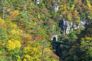 Değil Gorge Tohoku bölgedeki en doğal gorges biridir. Kuzey-Batı Miyagi İli, Sendai yaklaşık 70 kilometre yer almaktadır. Her yıl Kasım ayı başlarında, Ekim ayı sonunda etrafında gorge bölgenin en pop biri haline dönüştürür