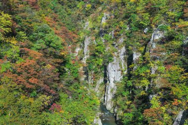 Değil Gorge Tohoku bölgedeki en doğal gorges biridir. Kuzey-Batı Miyagi İli, Sendai yaklaşık 70 kilometre yer almaktadır. Her yıl Kasım ayı başlarında, Ekim ayı sonunda etrafında gorge bölgenin en pop biri haline dönüştürür