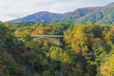 Değil Gorge Tohoku bölgedeki en doğal gorges biridir. Kuzey-Batı Miyagi İli, Sendai yaklaşık 70 kilometre yer almaktadır. Her yıl Kasım ayı başlarında, Ekim ayı sonunda etrafında gorge bölgenin en pop biri haline dönüştürür