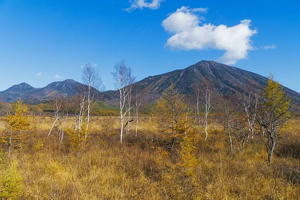 Senjogahara Cubre Meseta Entre Chuzenjiko Yumoto Onsen Particularmente Hermoso Durante — Foto de Stock