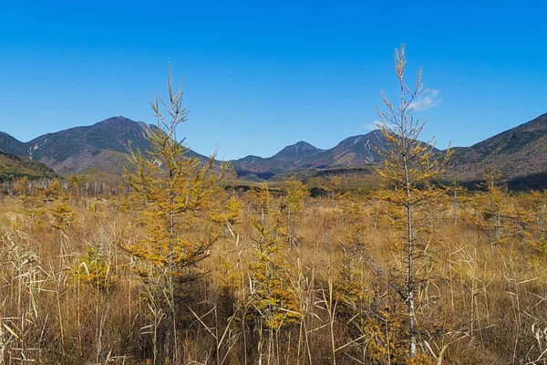 Senjogahara Cubre Meseta Entre Chuzenjiko Yumoto Onsen Particularmente Hermoso Durante — Foto de Stock