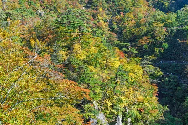 鳴子峡は 東北地域の最も風光明媚な峡谷の一つです 宮城県北西部 仙台から約 キロにあります 月下旬 月上旬前後渓谷地域のほとんどの破裂音の つに変換します — ストック写真