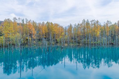 Mavi göl Biei, Hokkaido, Japonya insan yapımı gölet özelliğidir. Biei Nehri üzerinde Biei kasaba volkanik mudflows korumak için Mount Tokachi, 1988 patlama sonra yürütülen çalışmaların sonucudur. Renk sonucu düşünülmektedir