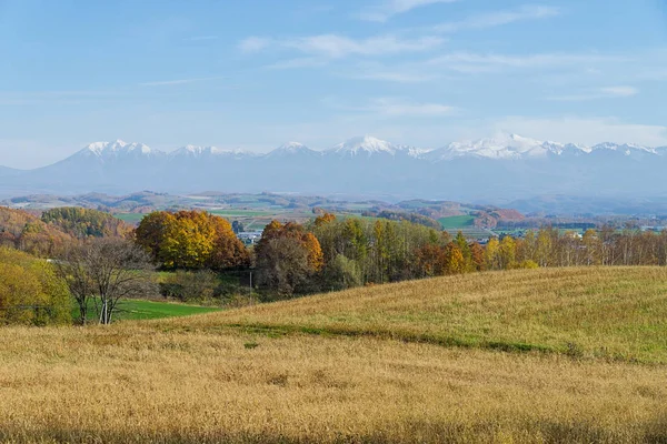 Biei Una Pequeña Ciudad Rodeada Por Pintoresco Paisaje Suaves Colinas —  Fotos de Stock