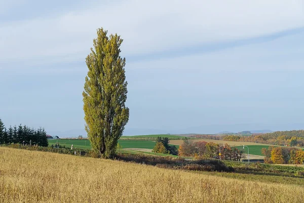 Biei Uma Pequena Cidade Rodeada Por Uma Paisagem Pitoresca Colinas — Fotografia de Stock