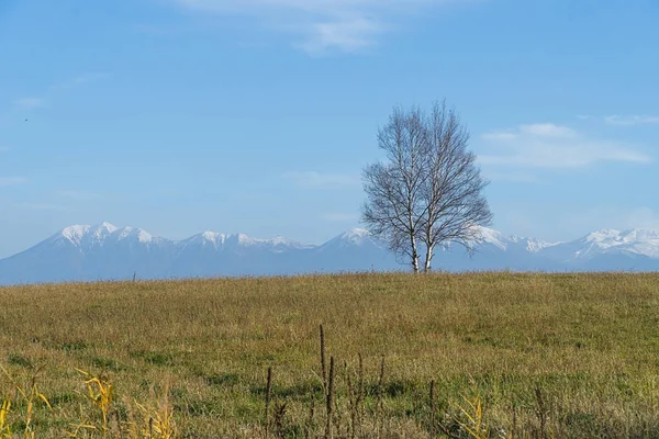 Biei Uma Pequena Cidade Rodeada Por Uma Paisagem Pitoresca Colinas — Fotografia de Stock